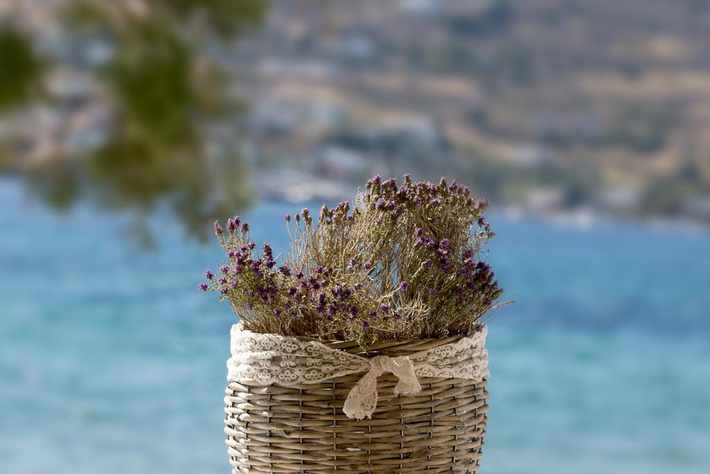 "Di Mare" Hotel & Suites Posidhonía Екстериор снимка